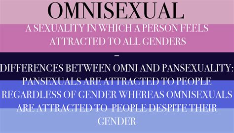 what is the definition of omnisexual|Omnisexual Definition & Meaning